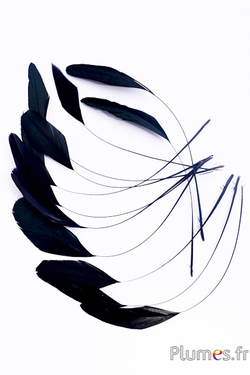 Coquetips - 9-12 cm - schwarz